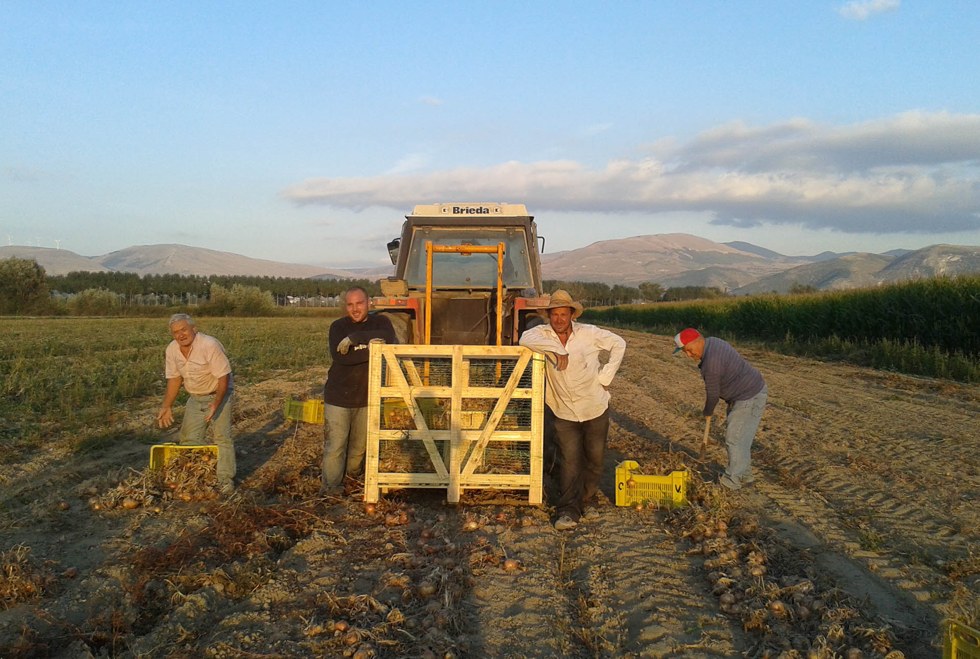 staff orto marziana